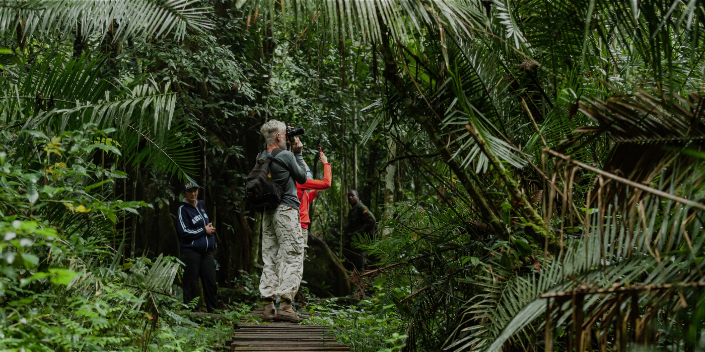 Two people with cameras capturing photos of the dense tropical rainforest, surrounded by lush greenery and natural light filtering through the canopy