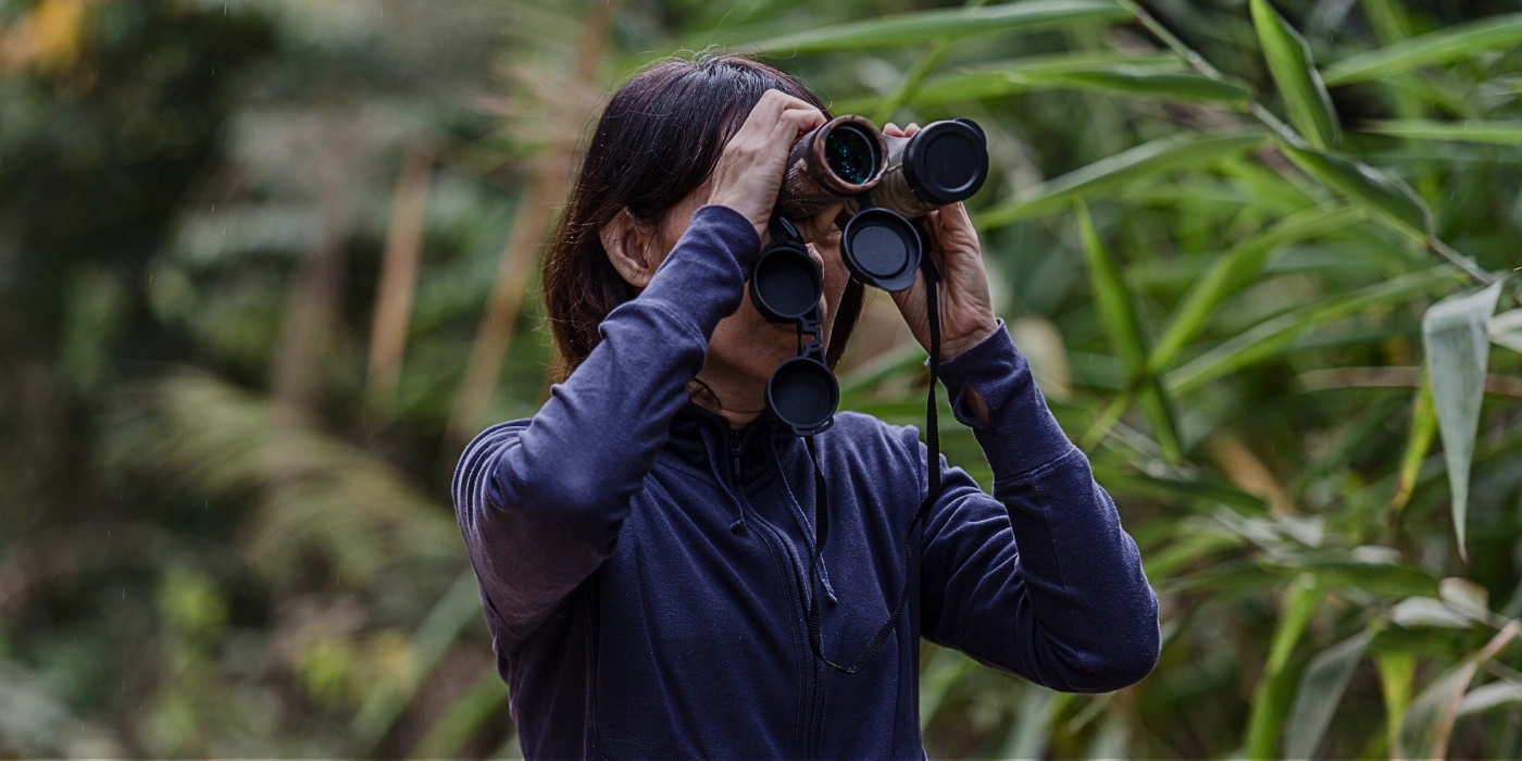 Person using binoculars for birdwatching along the Kinabatangan River, surrounded by lush rainforest and vibrant birdlife
