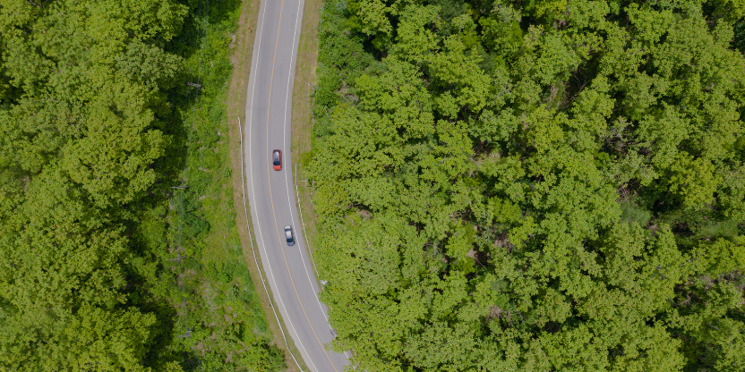 Aerial view of cars driving through lush green forest road for self-drive travel in Malaysia