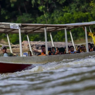 Tourists enjoying a scenic river cruise during Taman Negara Day Tour from Kuala Tahan, Malaysia