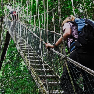 2D1N Taman Negara rainforest adventure from Kuala Tahan
