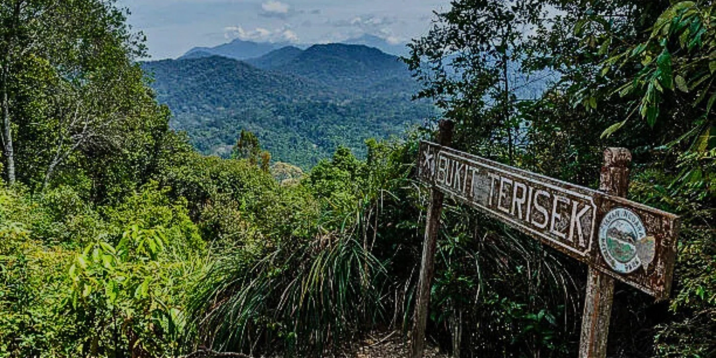 Wooden signboard marking the summit of Bukit Teresek, surrounded by lush rainforest in Taman Negara, Malaysia