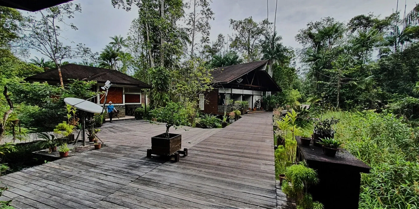 Kinabatangan Wetlands Resort nestled in lush mangrove and rainforest surroundings