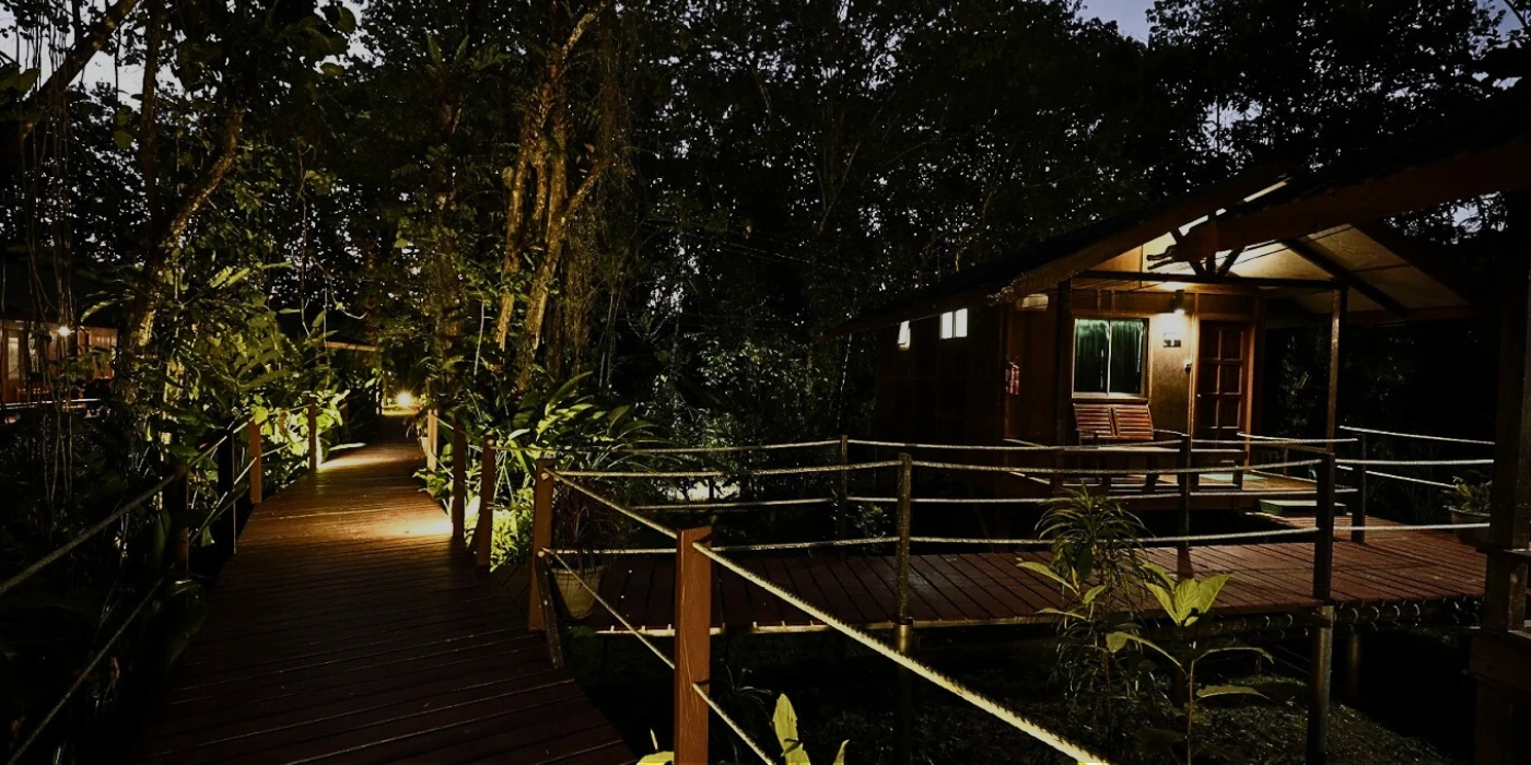 Wooden walkway at Tanini Hotel surrounded by greenery in Kinabatangan