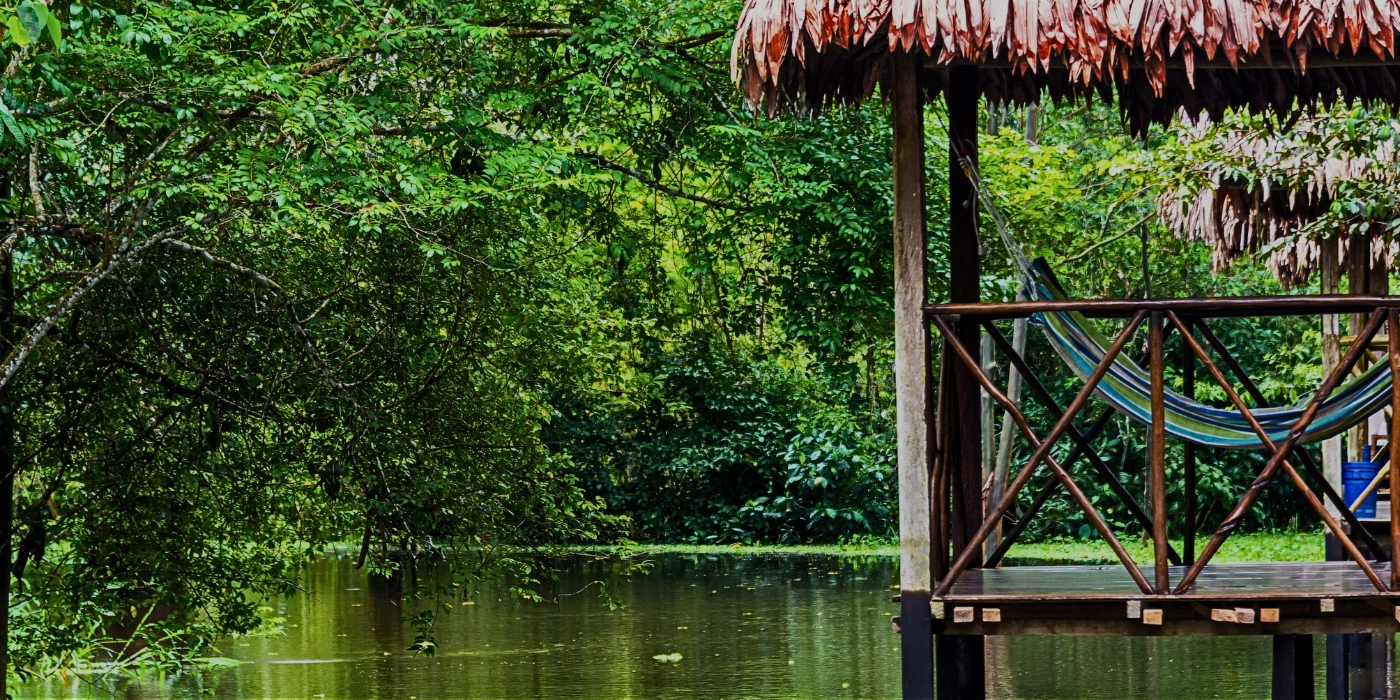 An eco-lodge nestled in dense tropical greenery, offering a sustainable stay in Borneo’s rainforest