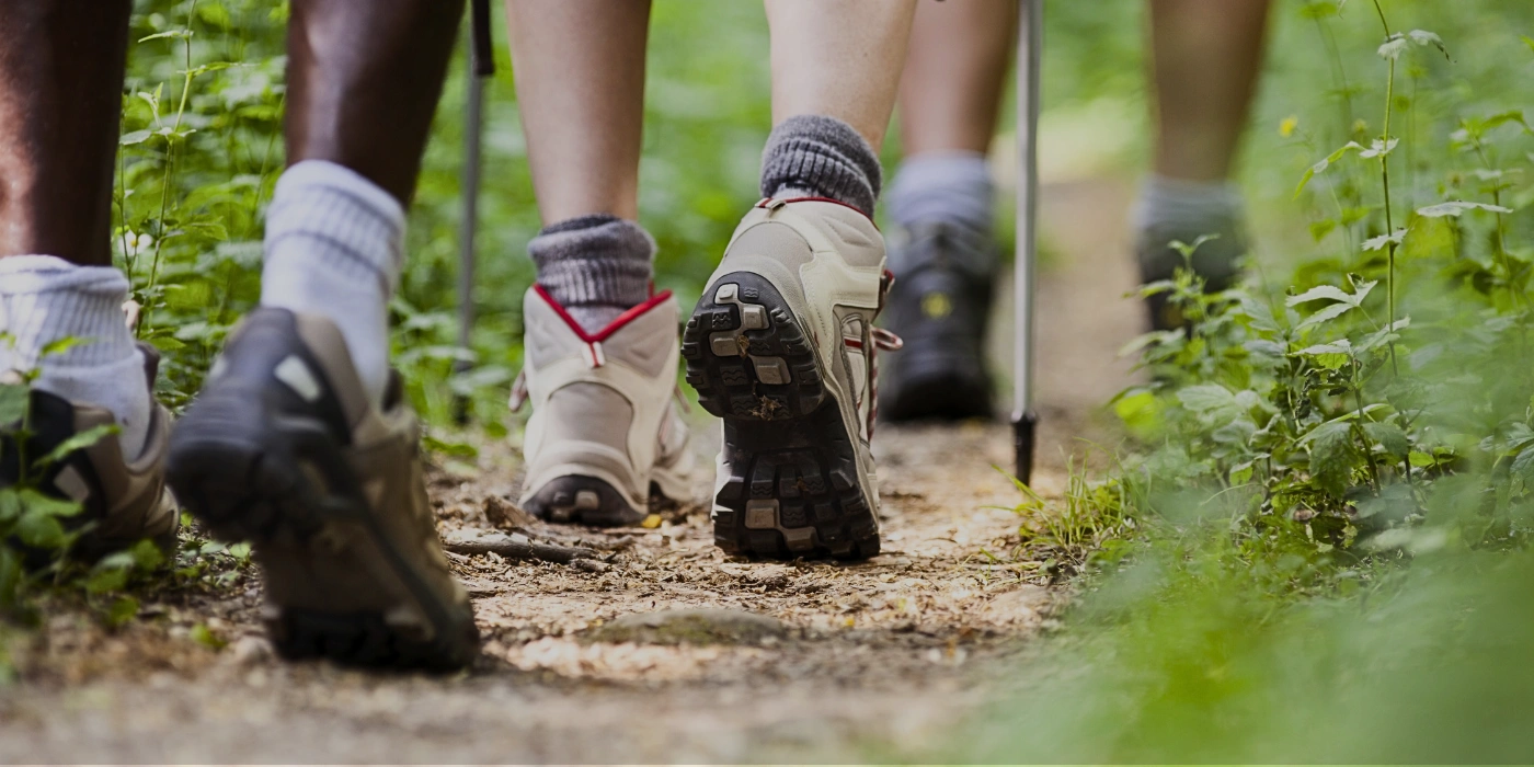 Hikers walking through dense rainforest trails in Tabin, en route to the mud volcano