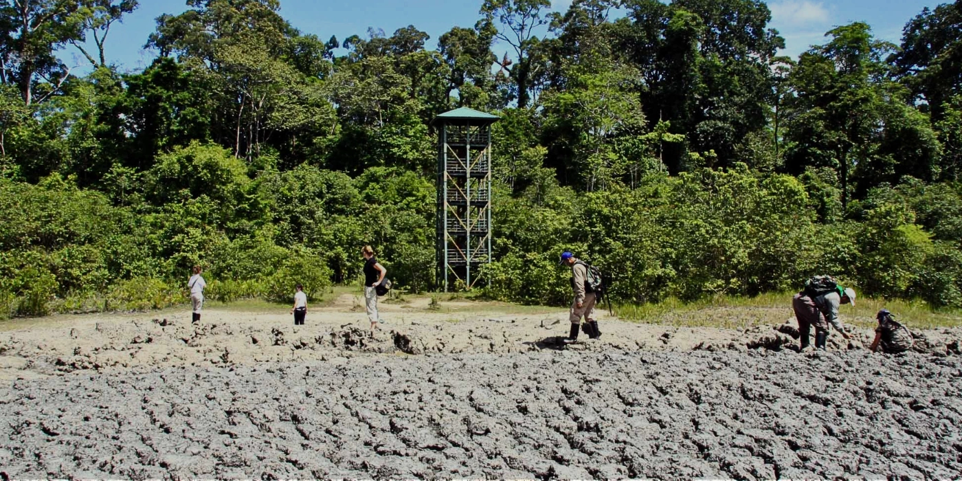 Group of friends observing and discussing the mud volcano in Tabin Wildlife Reserve for educational learning