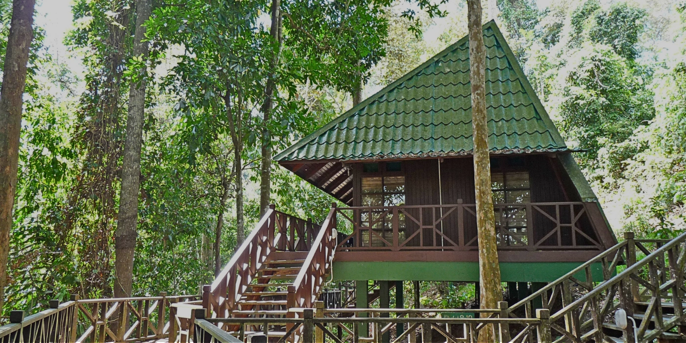 Wooden lodge nestled in the greenery of Tabin Hill at Tabin Wildlife Resort, surrounded by lush rainforest