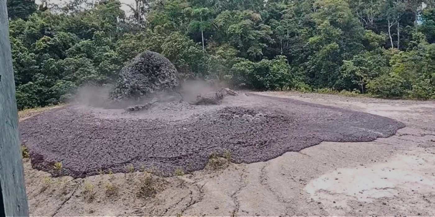 Eruption of Tabin’s mud volcano with thick mud spewing into the air in a dense Bornean jungle setting