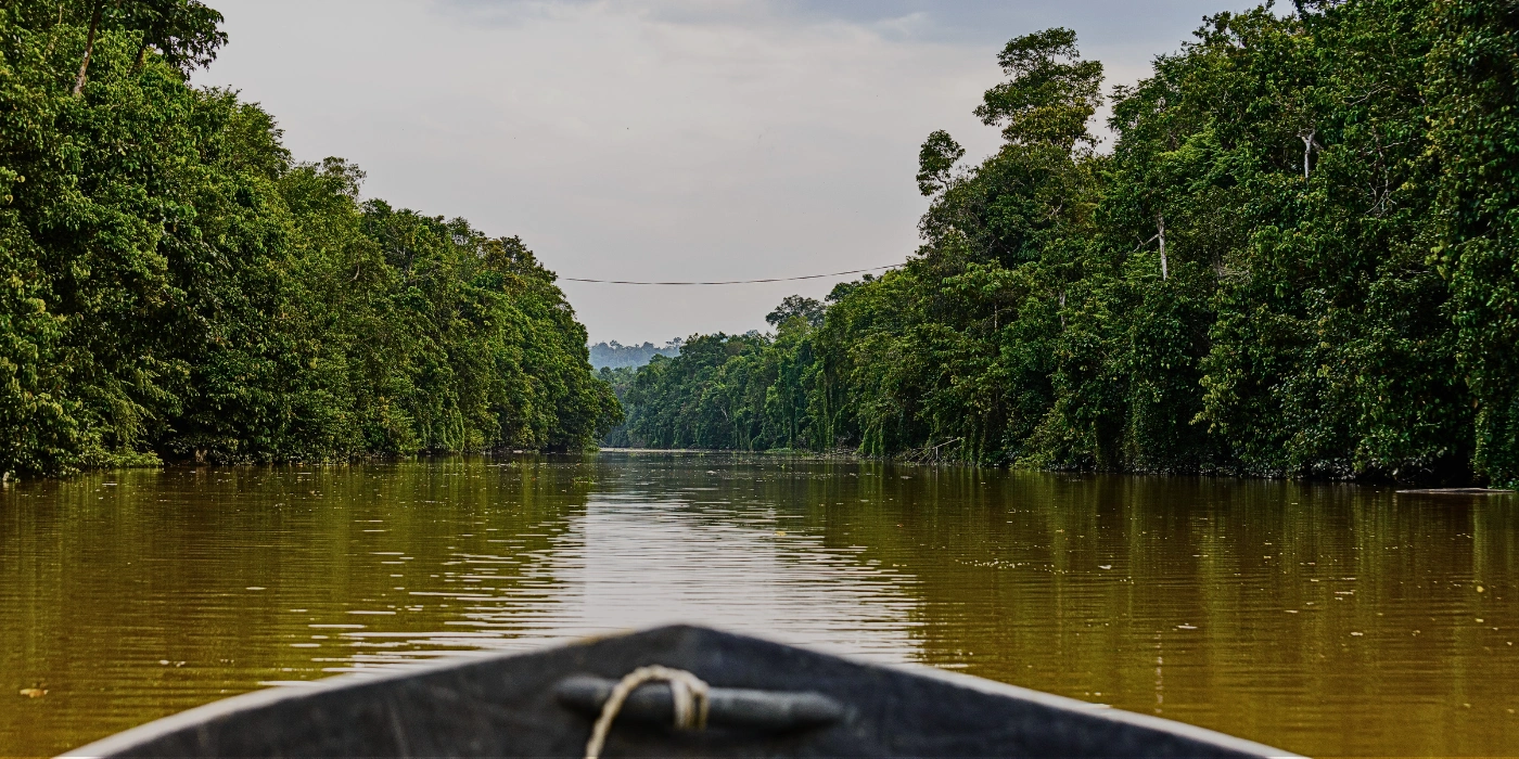 Kinabatangan River Travel Guide