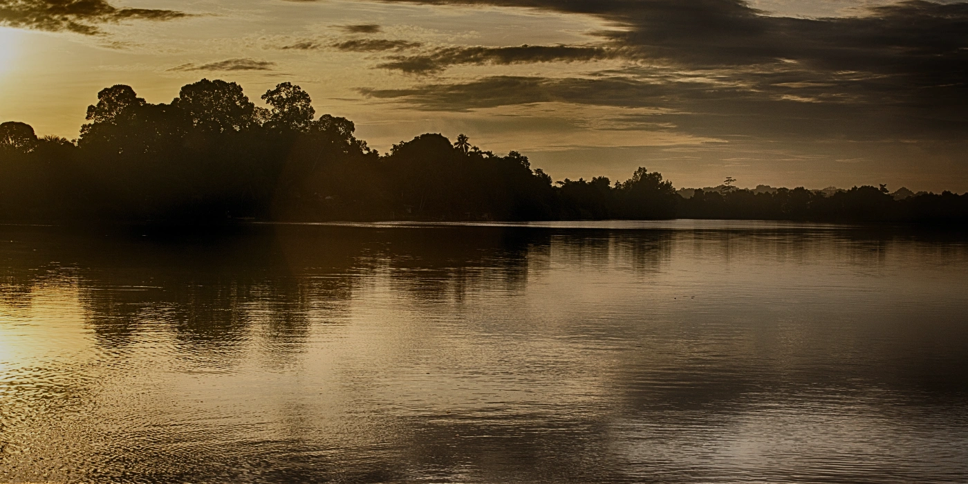 Golden sunset over the Kinabatangan River, reflecting on the calm waters surrounded by rainforest