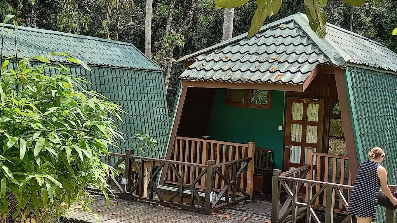 Lodge-style chalets at Tabin Wildlife Resort nestled among lush tropical rainforest, with wooden decks and thatched roofs.