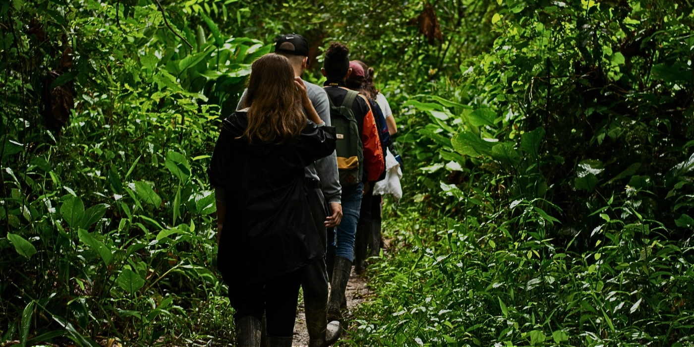 A group of tourist wearing long sleeves and quick-dry clothes in the rainforest of Danum
