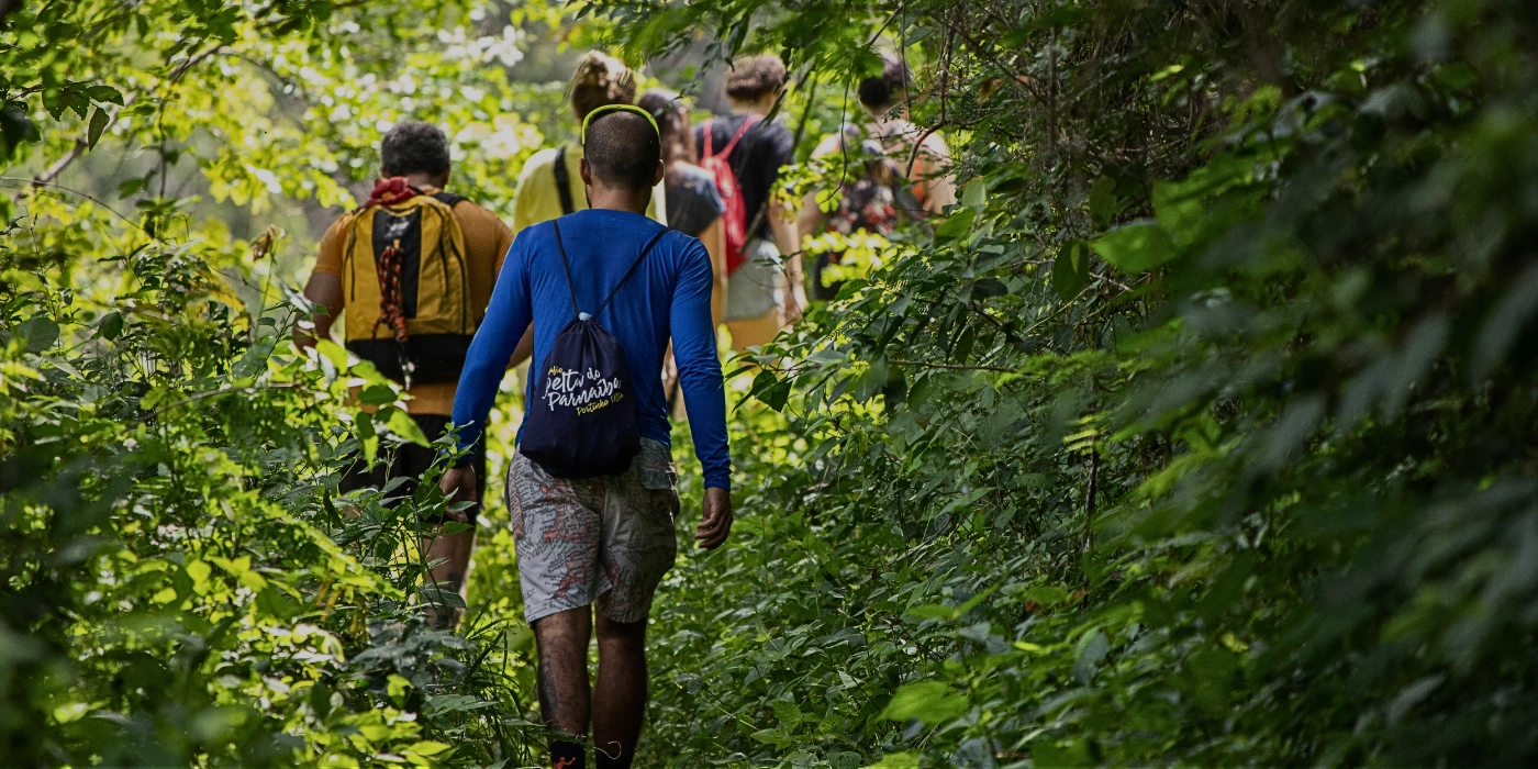 Tourists jungle trekking through Danum Valley’s rainforest during the dry season