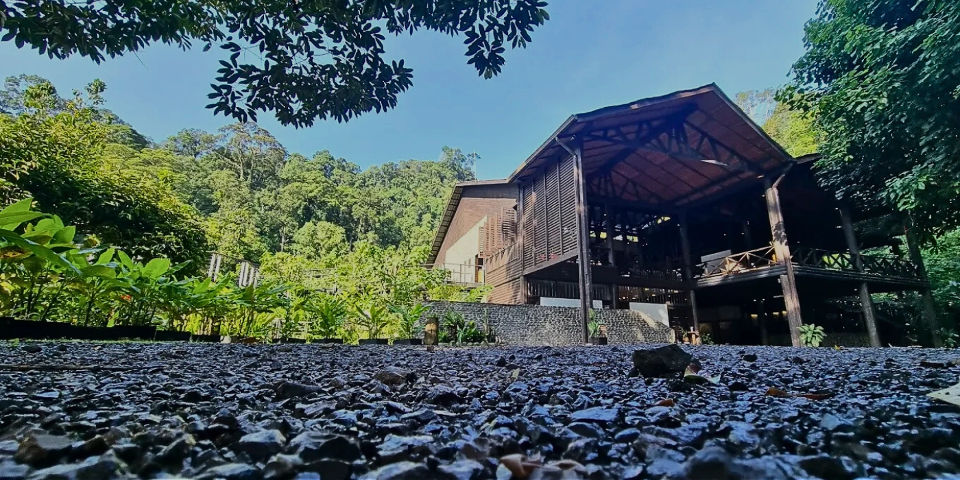External view of chalets in borneo rainforest lodge