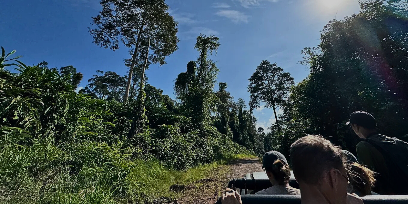 Safari jeep driving on a dirt track through the forest in Tabin Wildlife Reserve