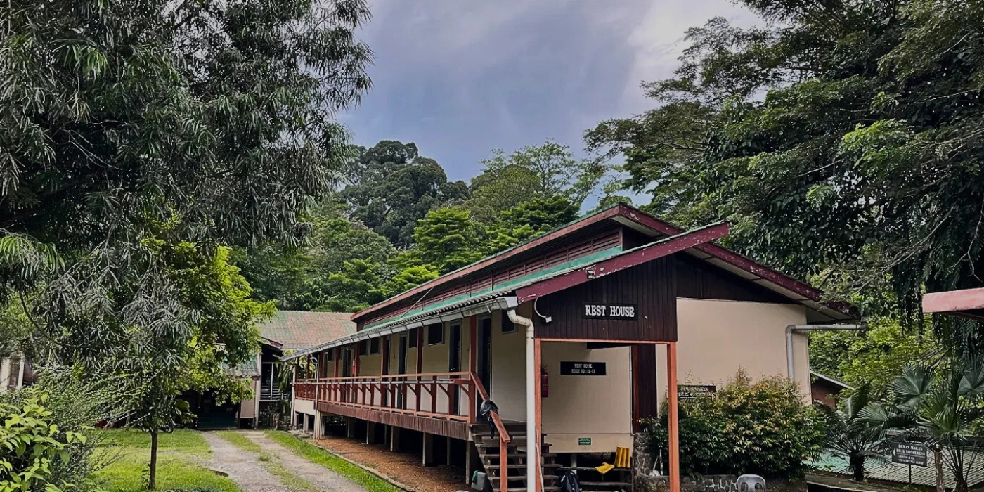 Wooden resthouse building at DVFC surrounded by lush rainforest, with balcony and tin roof design