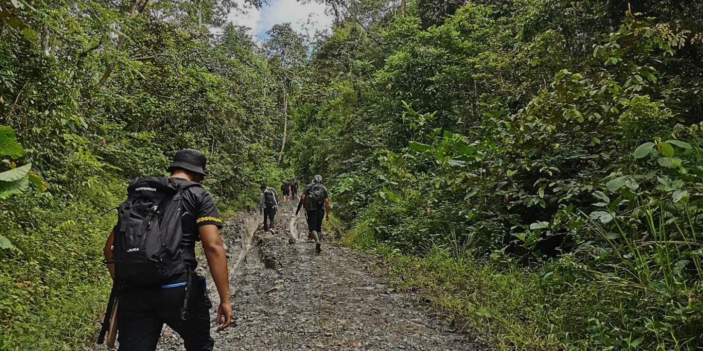 Tourists jungle trekking along a lush forest trail in Tabin Wildlife Reserve, Sabah