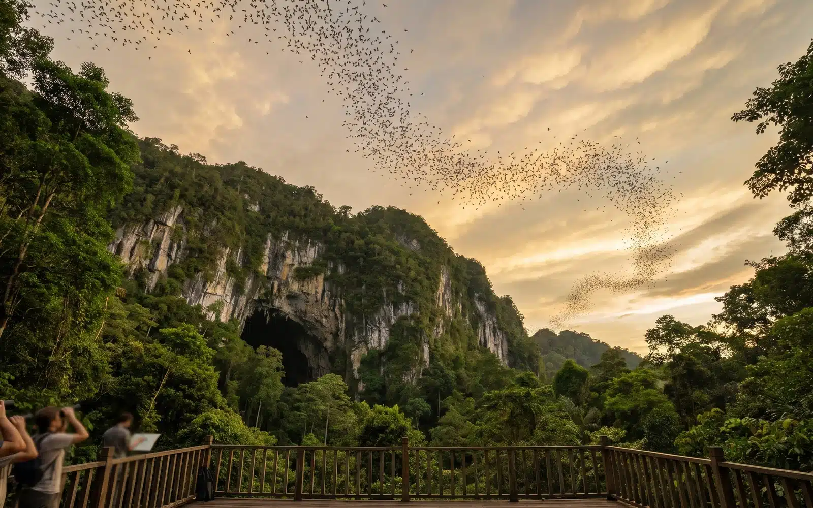Deer Cave Bat Exodus Mulu — Millions of Bats Exiting Massive Cave Entrance at Sunset | EcoTour Malaysia
