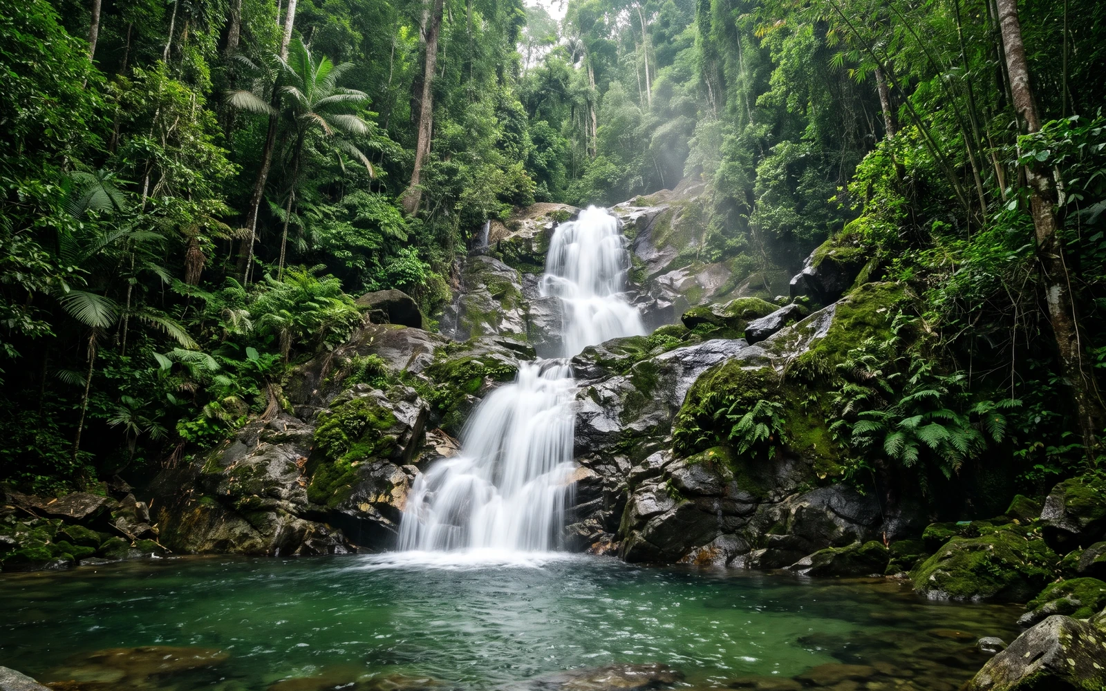Buaya Sangkut waterfall cascading over granite rock tiers into a rainforest pool deep inside Endau-Rompin National Park, Johor