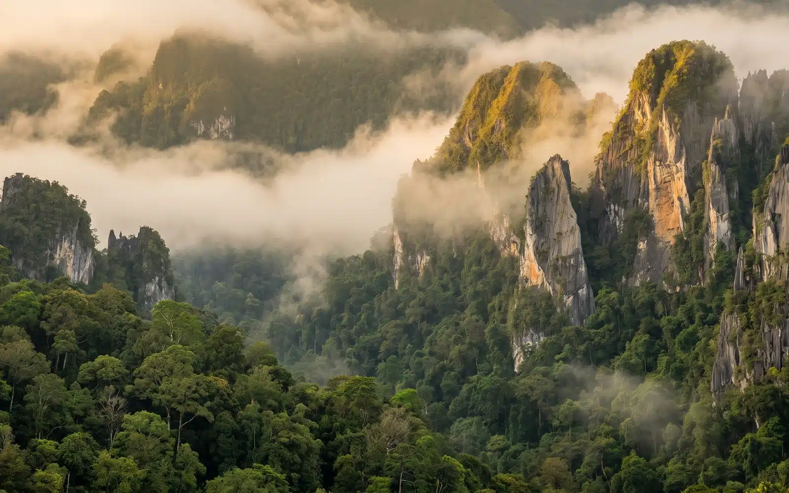 Gunung Mulu National Park Ecotourism — Ancient Rainforest Canopy and Karst Peaks | EcoTour Malaysia